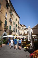 Bird's-eye view of Lucca, featuring historic buildings, trees, and city walls