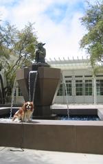 Yoda fountain at Lucasfilm headquarters