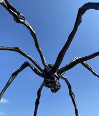 Maman sculpture by Louise Bourgeois at National Gallery of Canada