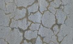 ASR crack pattern on concrete pillar at National Gallery of Canada