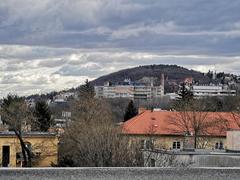 Budapest Budagyöngye view