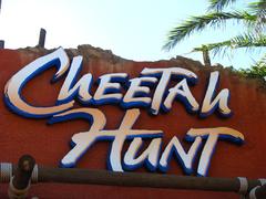 Cheetah Hunt entrance