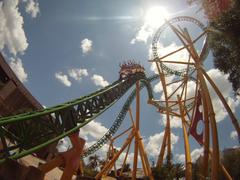 Cheetah Hunt train exiting figure 8 element at Busch Gardens Tampa Bay