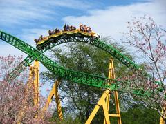 Cheetah Hunt roller coaster at Busch Gardens Tampa Bay