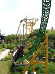 Cheetah Hunt roller coaster at Busch Gardens Tampa Bay