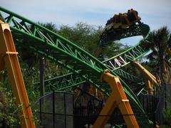 Cheetah Hunt roller coaster twisted track