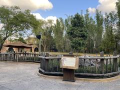 Empty Cheetah Run enclosure at Busch Gardens Tampa Bay, 2022