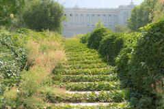 Campo del Moro gardens with fountains in the foreground and Royal Palace in the background