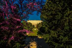 Campo del Moro Gardens with lush greenery and tree-lined paths