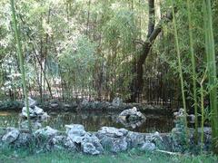 A close-up view of green bamboo stalks