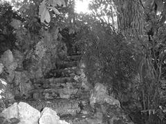 Stone pathway in a park