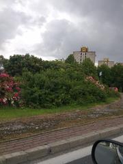 skyline of residential blocks behind Rondo Wileńskie