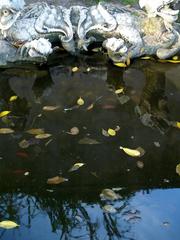 Ajuda Botanical Garden in Lisbon