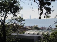 River view from Jardim Botanico da Ajuda