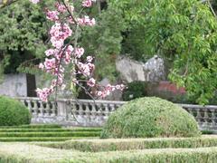 Jardim Botanico da Ajuda