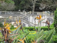 Jardim Botanico da Ajuda garden pathways and greenery