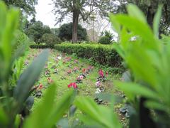 Jardim Botanico da Ajuda scenic view