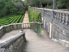 Jardim Botanico da Ajuda garden with trees and a path