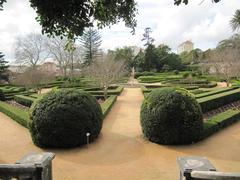 Jardim Botanico da Ajuda garden