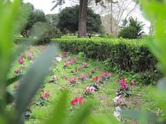 Jardim Botanico da Ajuda