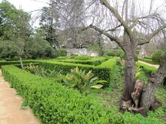 Jardim Botanico da Ajuda with lush greenery and ornate garden features