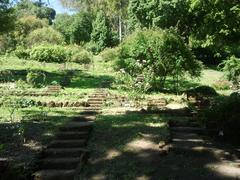 Botanic garden hill in Rome with rose plants and stone steps