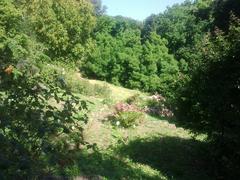 Botanical garden hill with rose plants and stone steps in Rome