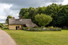 Vintage blue tractor on a green field at Chiltern Open Air Museum