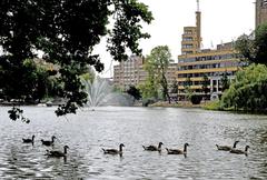 pond with geese and Flagey Building in Ixelles, Brussels