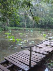 Pond at Từ Hiếu Temple