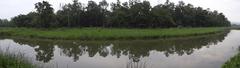 forest with a small pond in Chitwan National Park