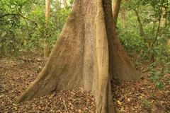 Parque Nacional De Royal Chitwan