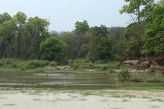 Chitwan landscape with mountains and dense green forest