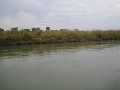 Panoramic view of Chitwan National Park in Nepal