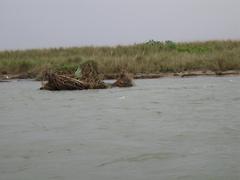 Chitwan National Park