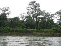 Scenic view of Chitwan National Park with elephant and mahout