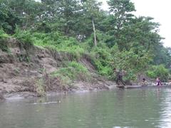 Chitwan National Park landscape