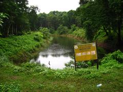 Chitwan National Park landscape