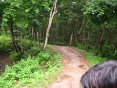 Scenic view of Chitwan National Park in Nepal