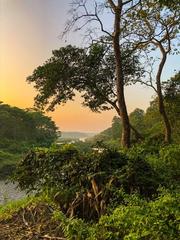 Chitwan jungle landscape