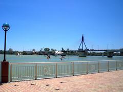 Han River Bridge in Da Nang city, Vietnam