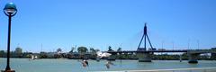 Han River Bridge in Da Nang with doves