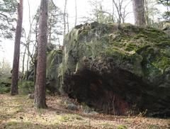 Buližníkový balvan in nature