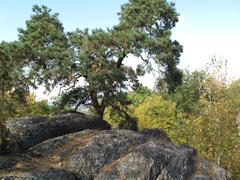 Scenic view of Babí lom landscape