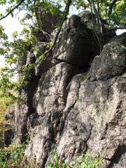 Babí lom viewpoint in a forested area