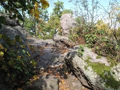 Scenic view of Babí lom forest trail