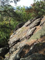 Babí lom rocky hillside with dense forest