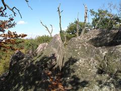 Babí lom scenary with a stunning view of the forest and rocky cliffs under a clear blue sky