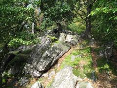 Scenic view of Babí lom forested ridge with lush greenery