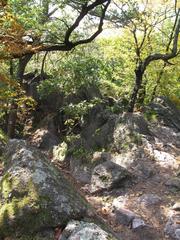 View of Babí lom forested hill in Czech Republic